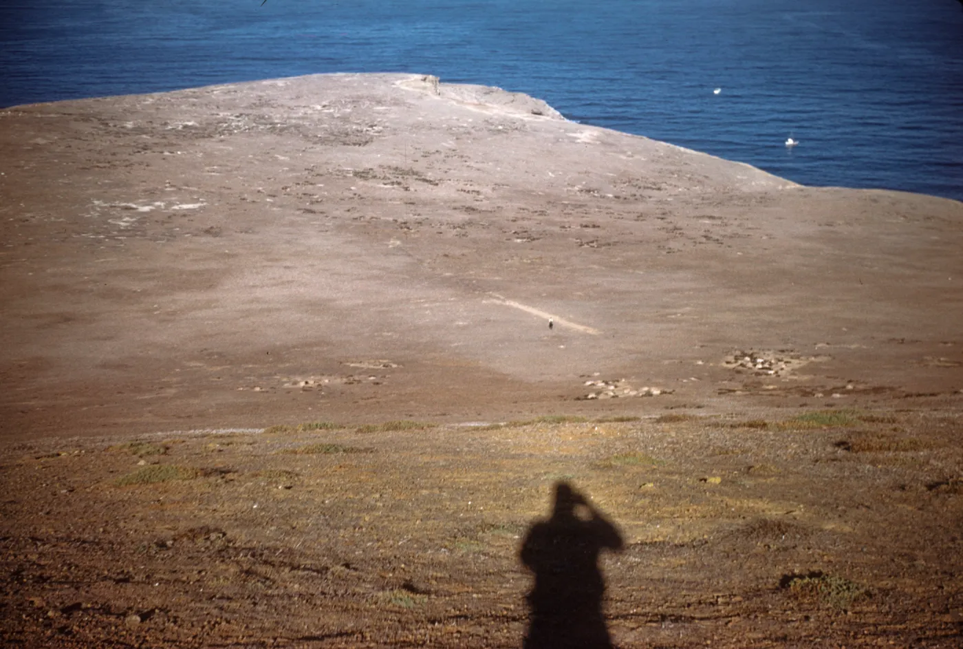 Santa Barbara Island looking west