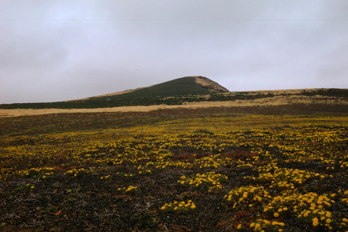 Santa Barbara Island