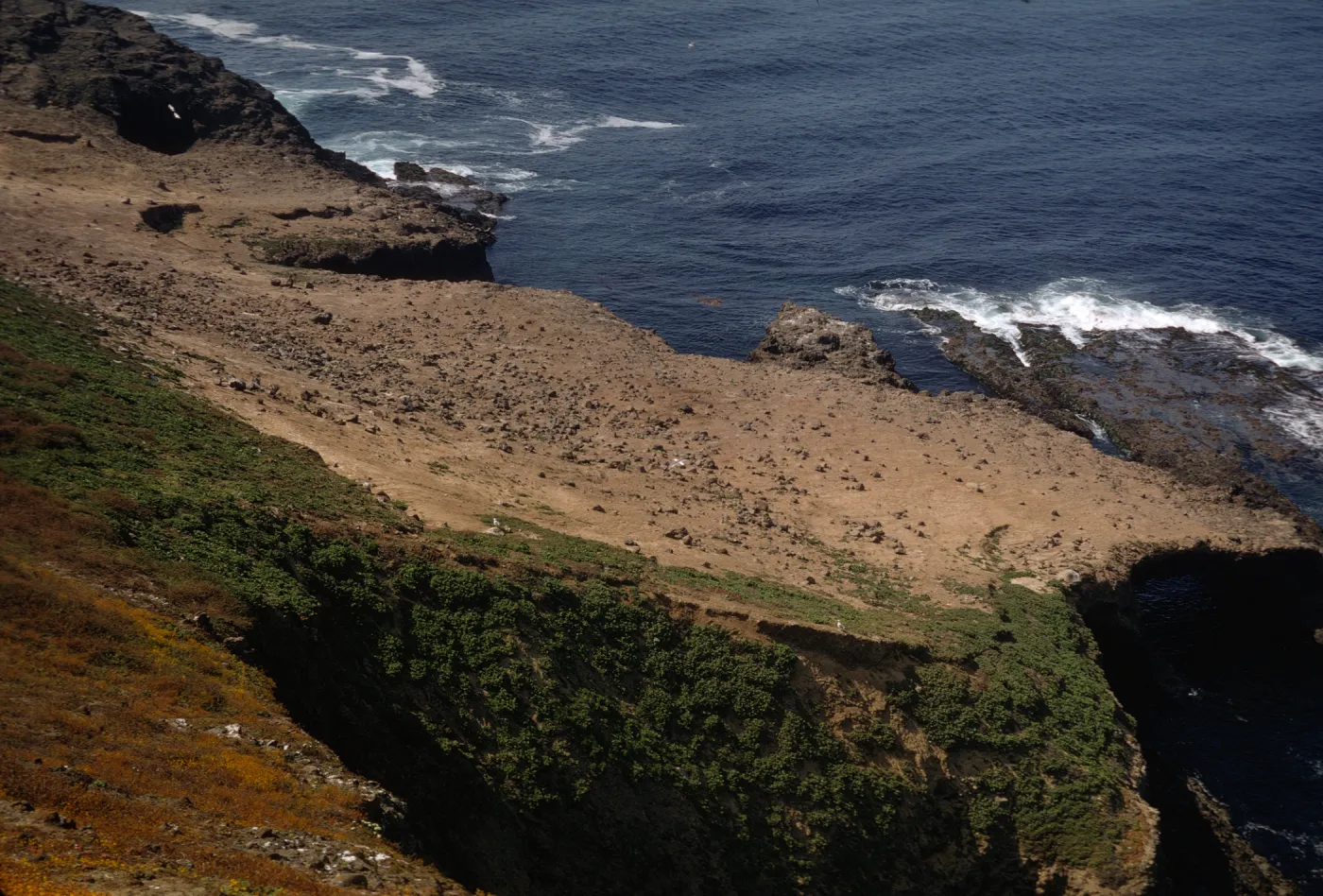 North Peak, Webster Point