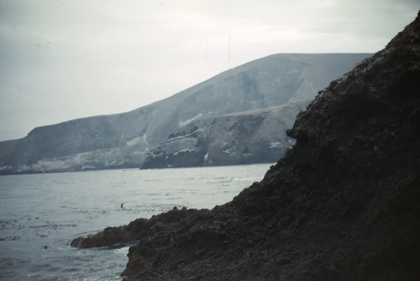 North side of Santa Barbara Island, looking east