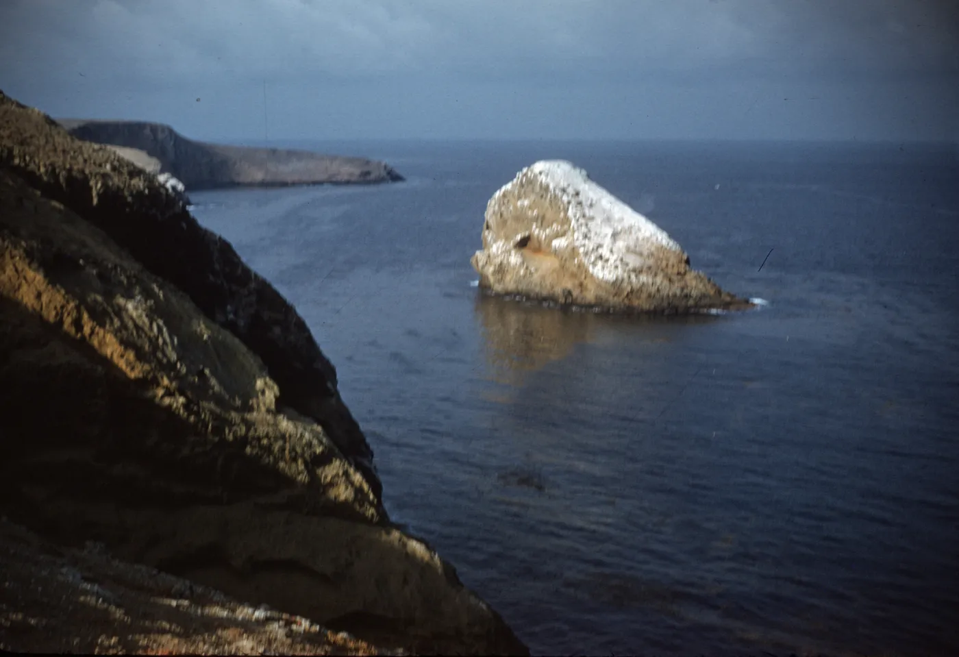 Shag Rock, north side of Santa Barbara Island