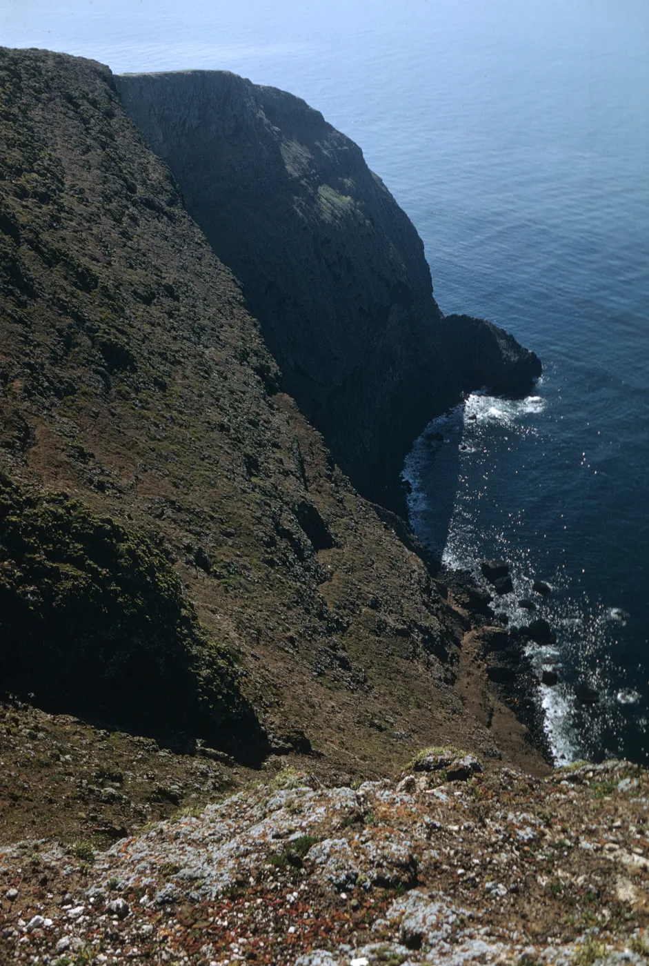 Santa Barbara Island