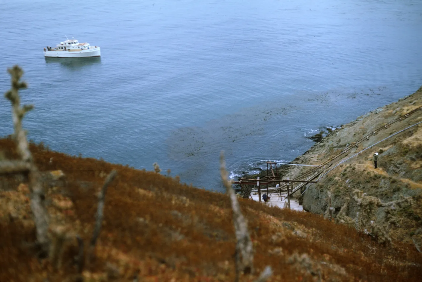 Boat 'Golden Dubloon' approaching Landing Cove on Santa Barbara Island