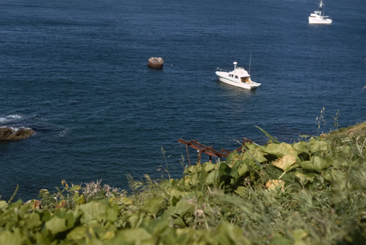 Marah, boats off of Landing Cove, Santa Barbara Island