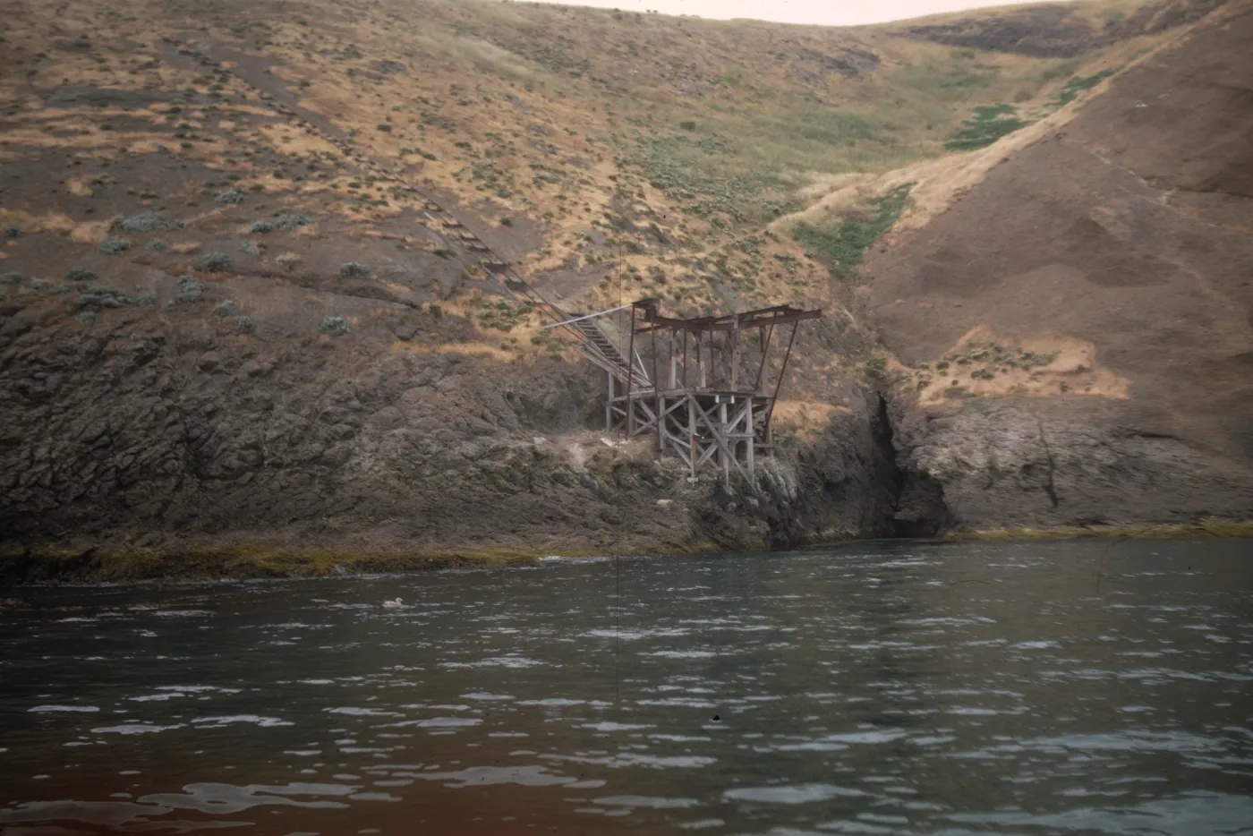 dock at Landing Cove, Santa Barbara Island