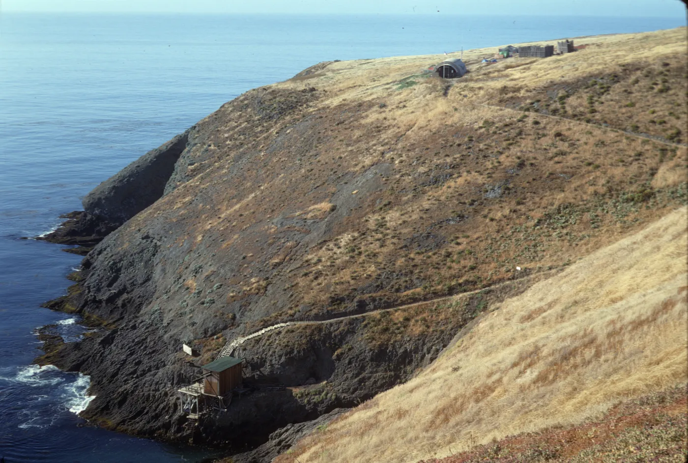Landing Cove, Santa Barbara Island