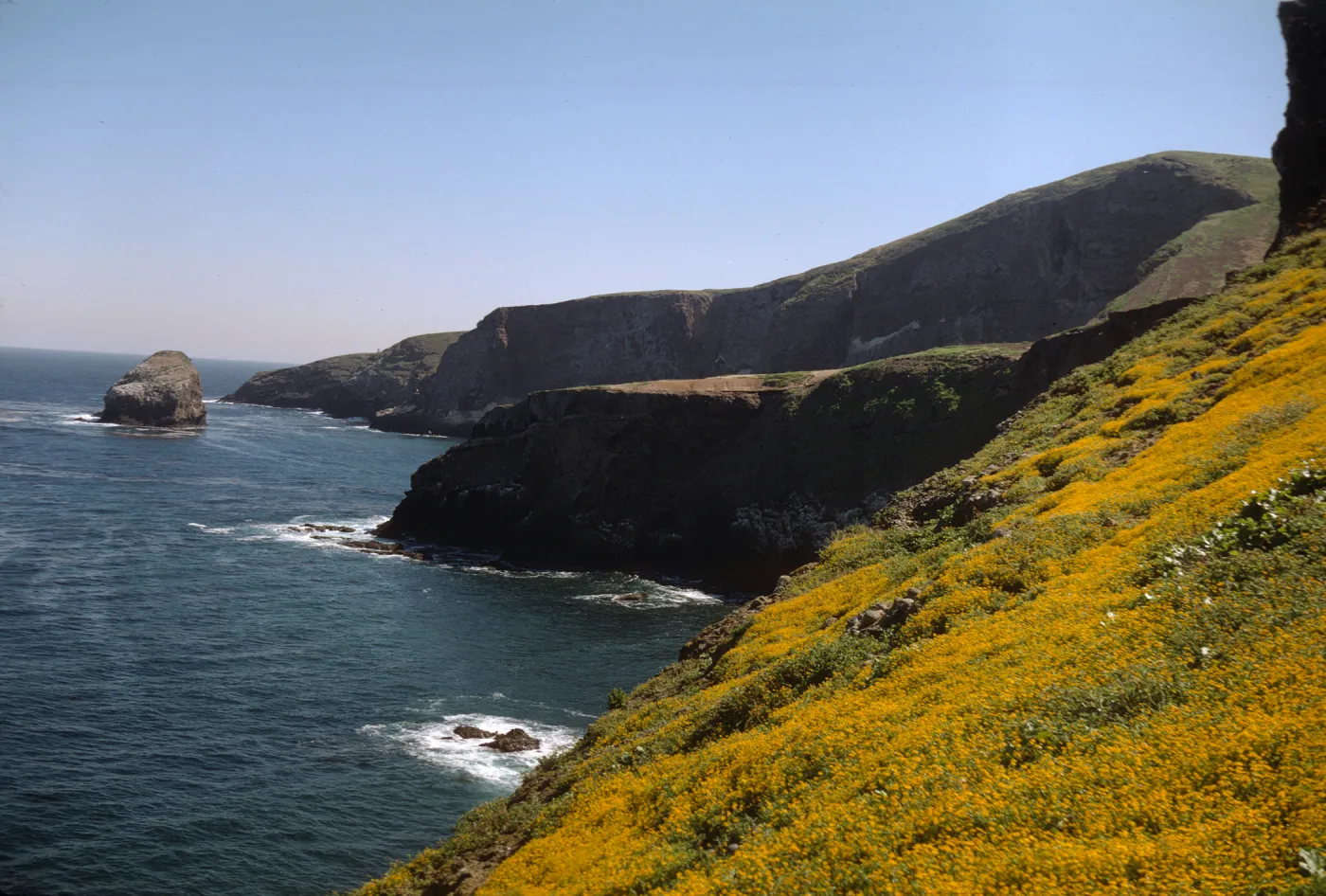 Santa Barbara Island and Shag Rock