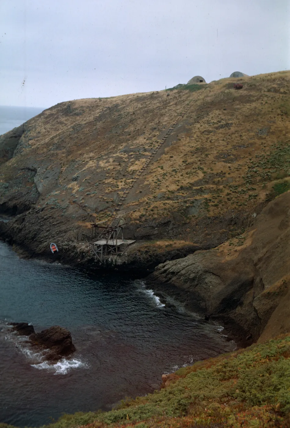 Landing Cove, Santa Barbara Island