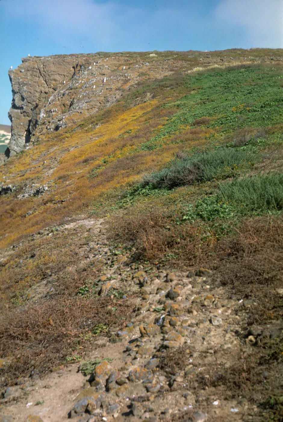 Santa Barbara Island