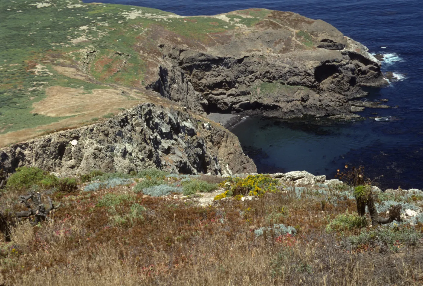 Santa Barbara Island