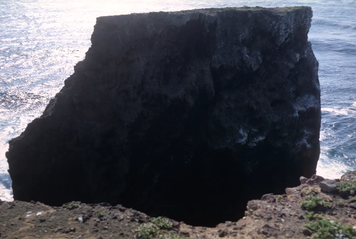 Webster Rock, Santa Barbara Island