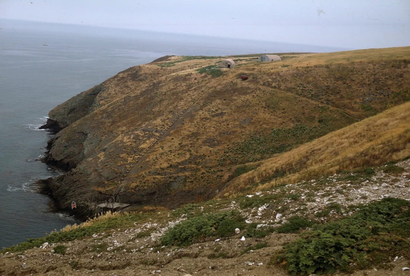 Santa Barbara Island