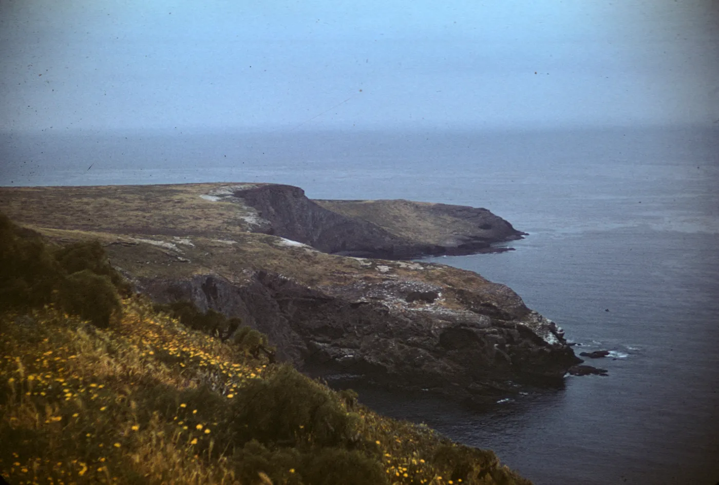 Santa Barbara Island