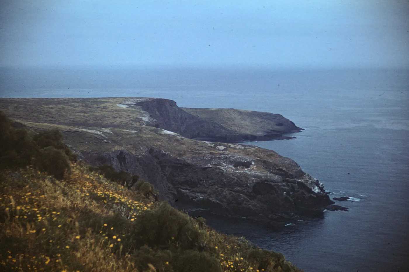 northwest coast of Santa Barbara Island