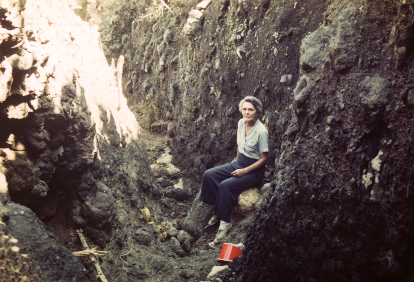 Santa Barbara Island, Mrs. M. B. Dunkle