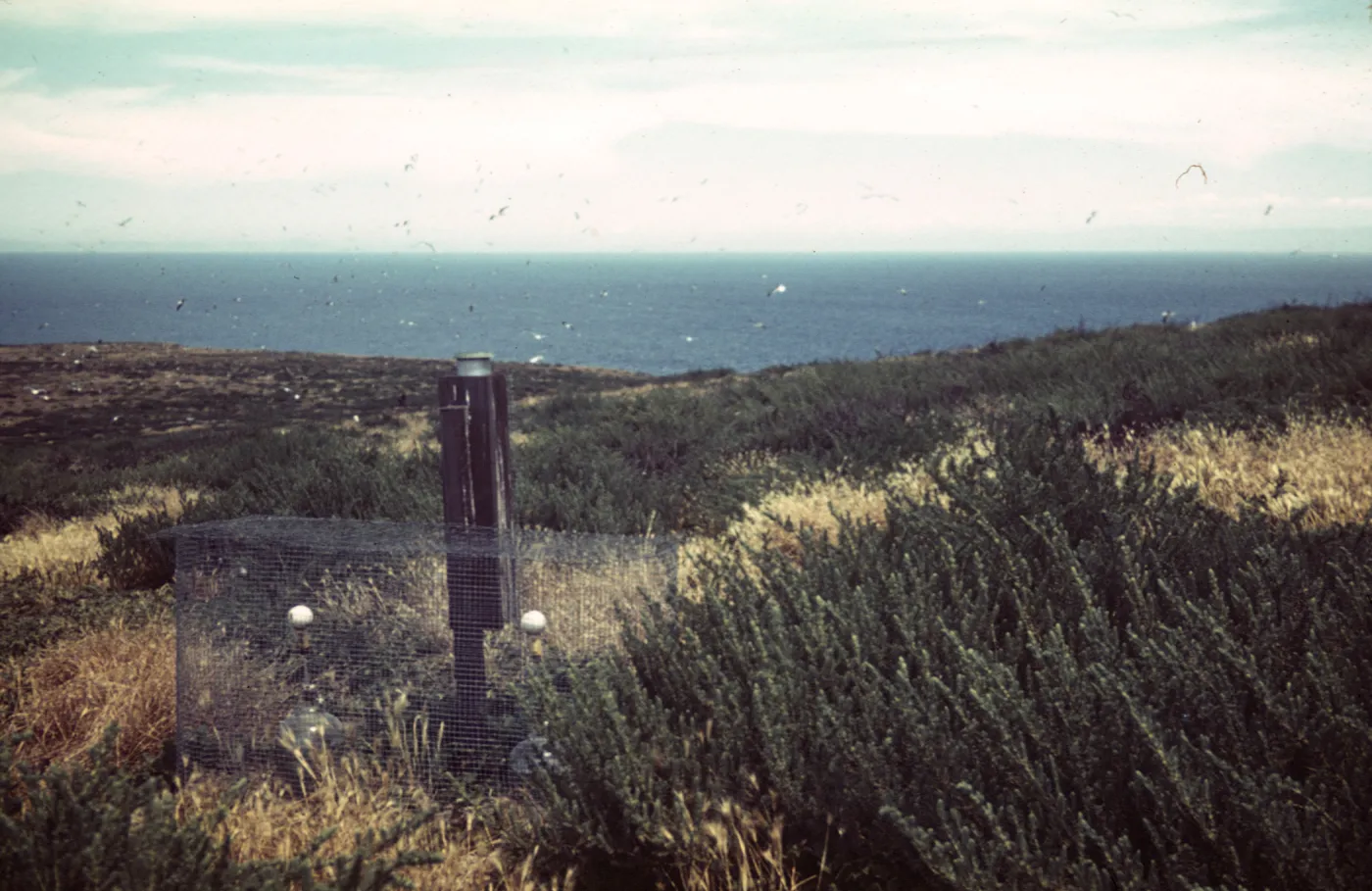 Santa Barbara Island, Station C2