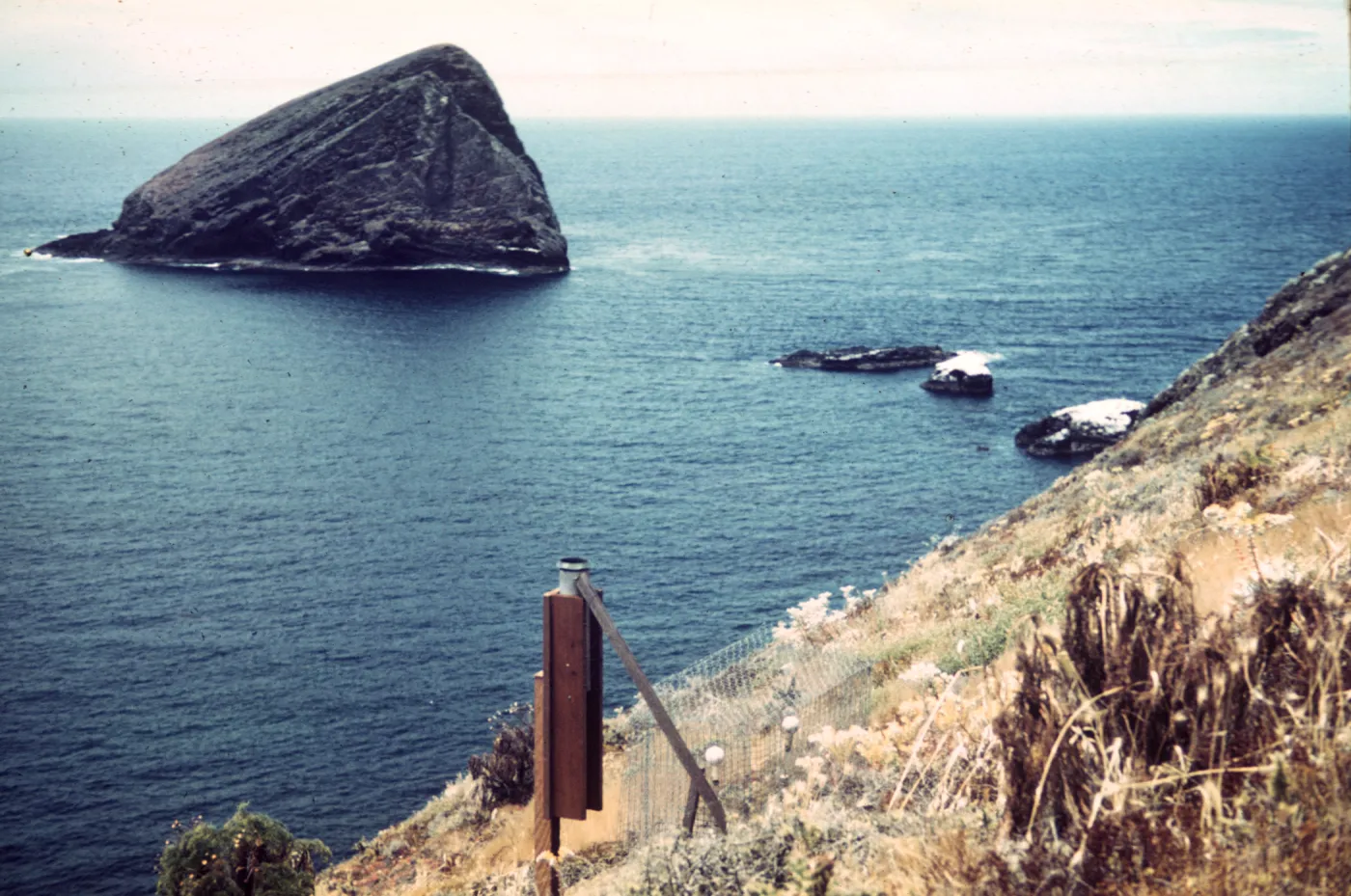 Santa Barbara Island, Station C5