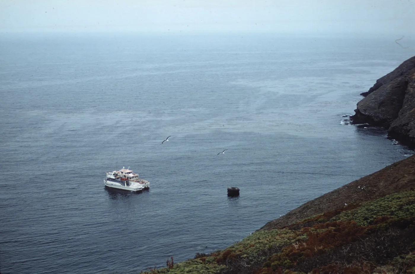 Santa Barbara Island, Anchorage Cove, 2 boats