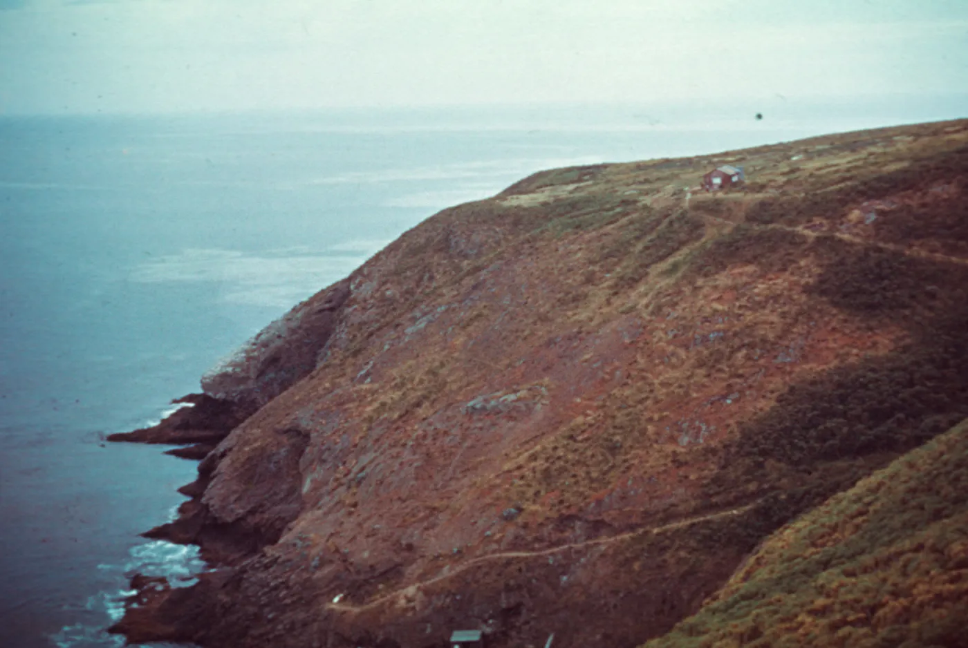 Santa Barbara Island, Landing cove