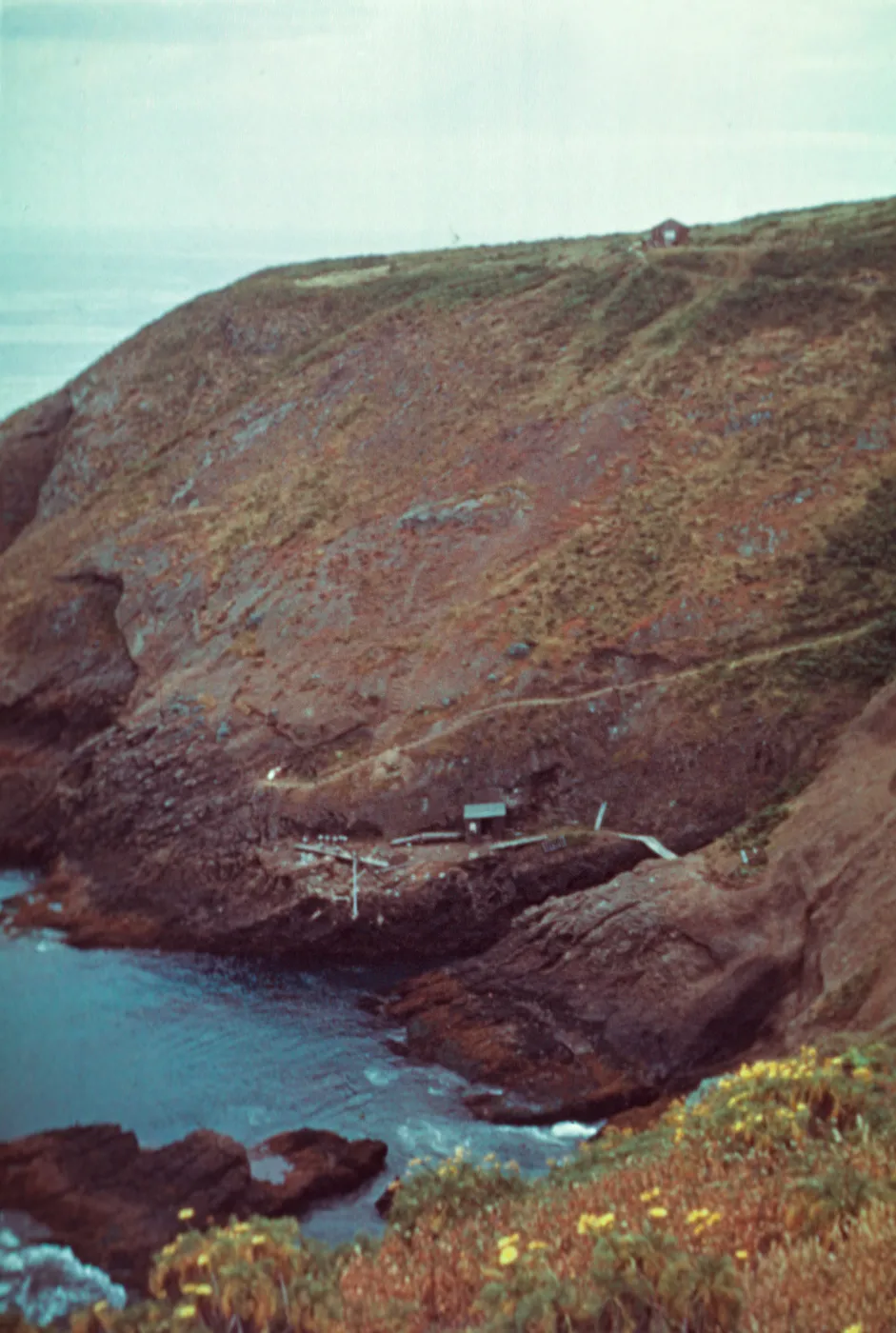 Santa Barbara Island, Landing Cove