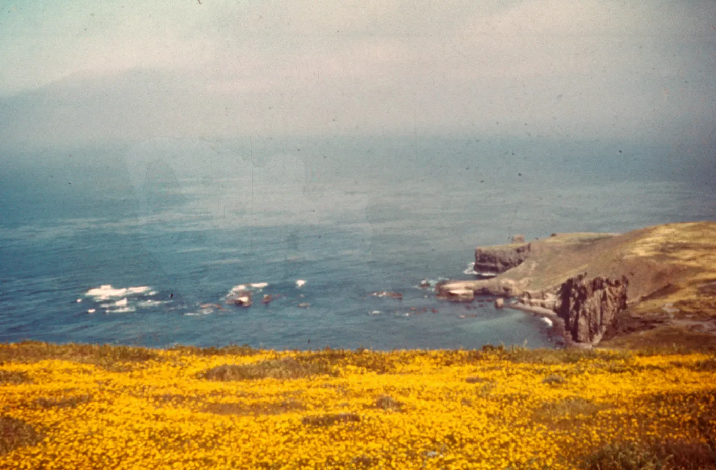 Santa Barbara Island, Hook