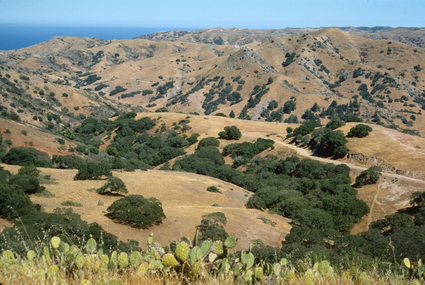 Santa Catalina Island