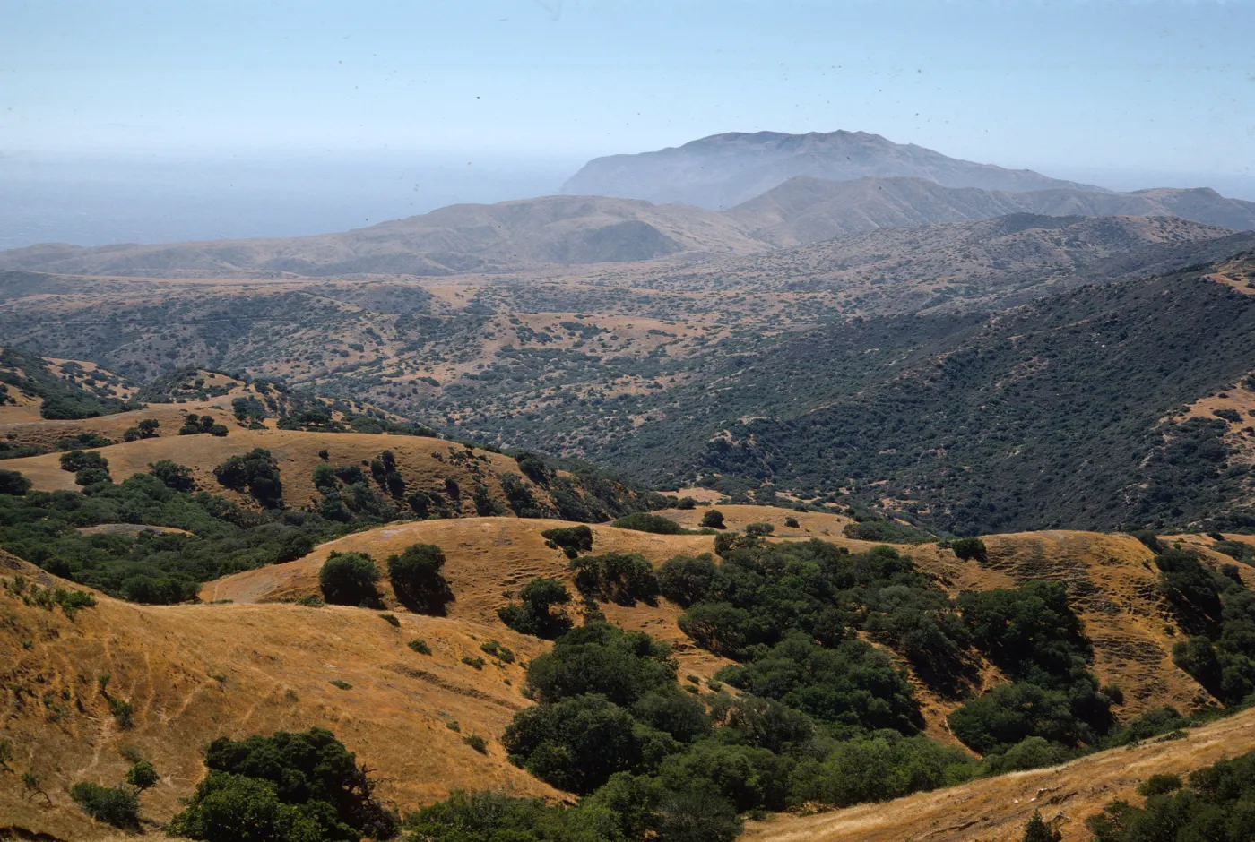 Santa Catalina Island, looking NW, Silver Peak
