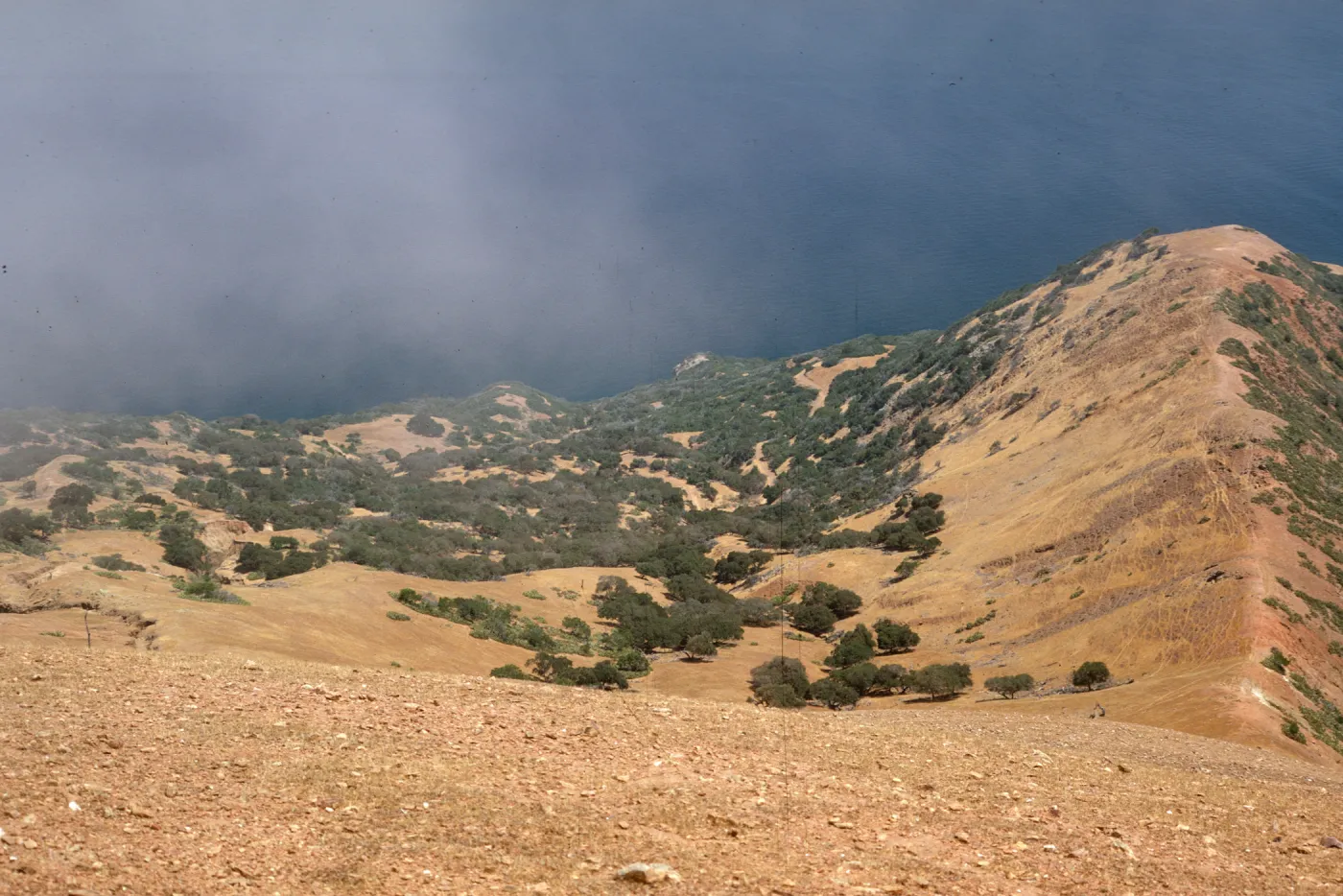 Santa Catalina Island