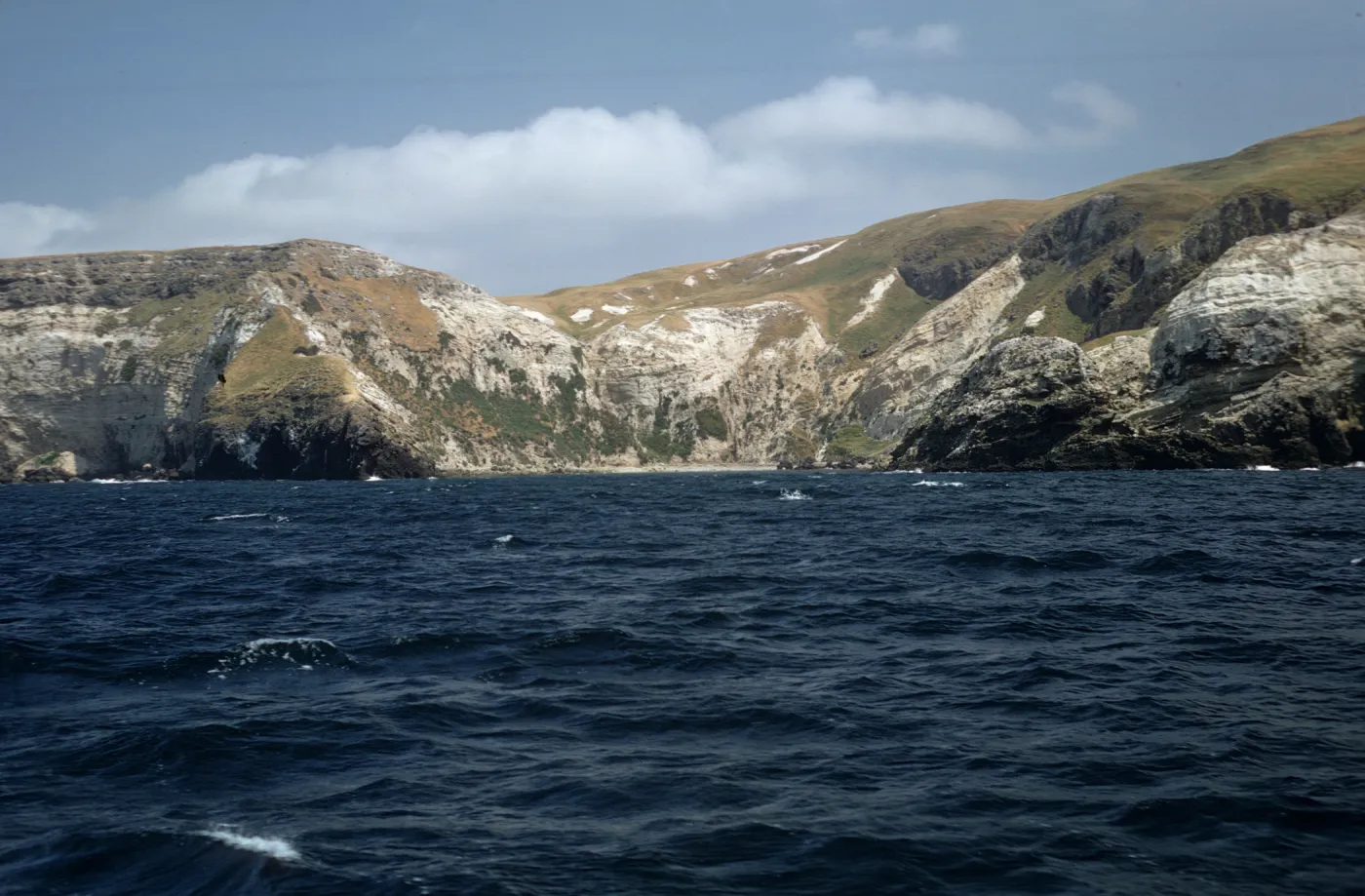 Santa Cruz Island from boat