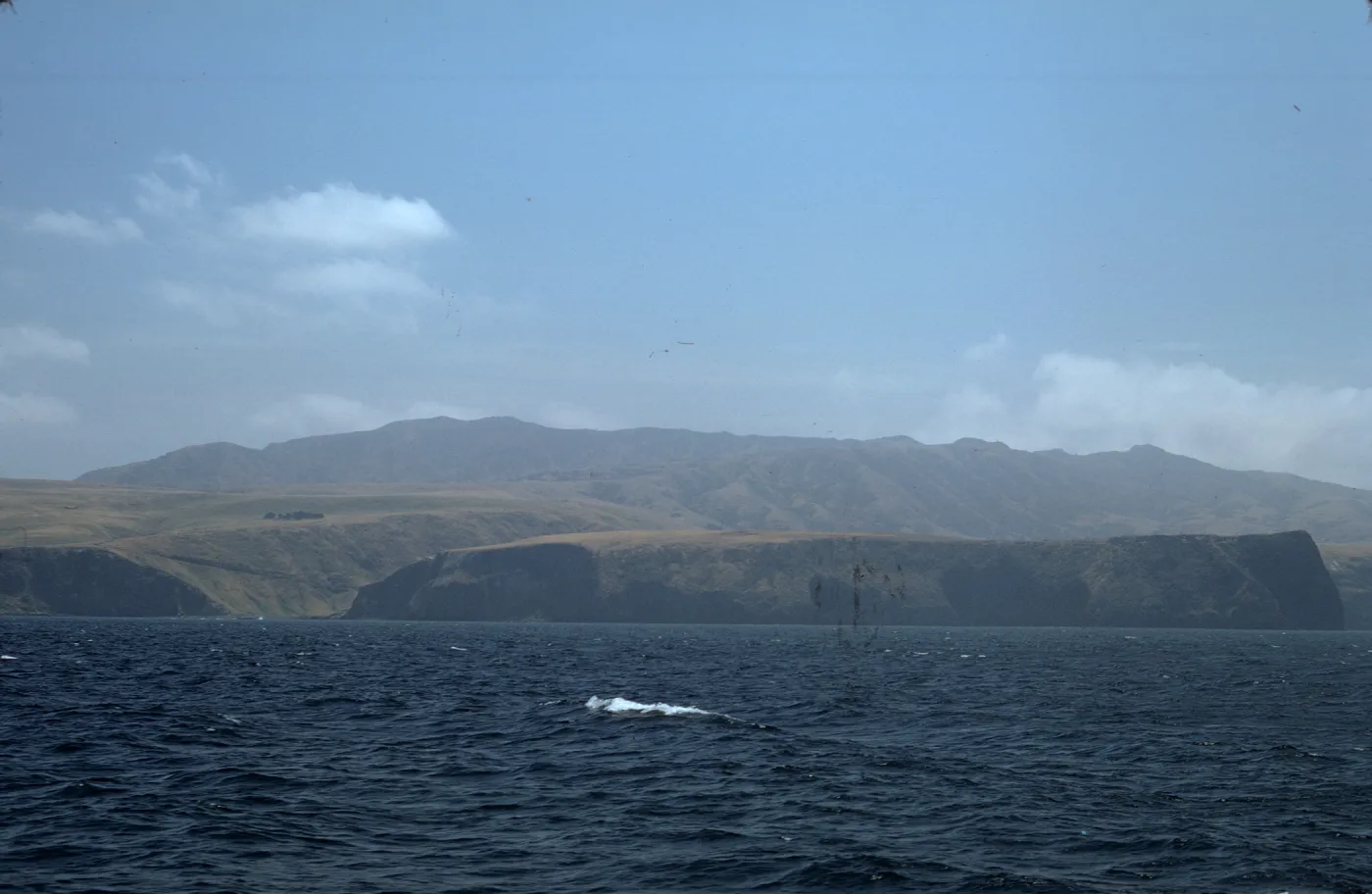 Santa Cruz Island from boat