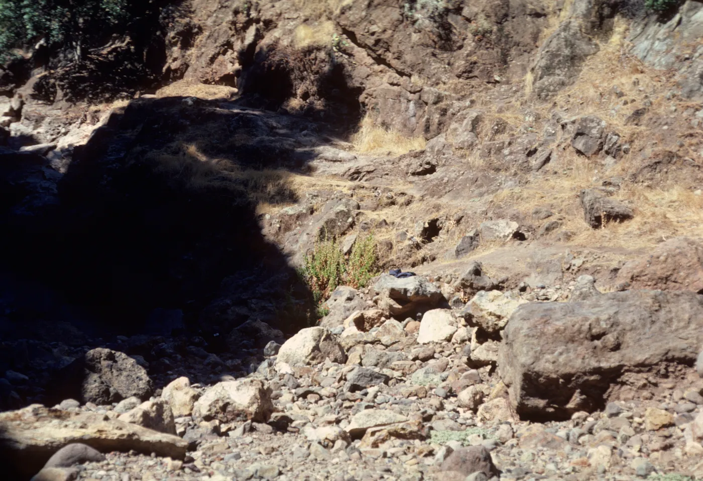Marla Daily's Madia Location
