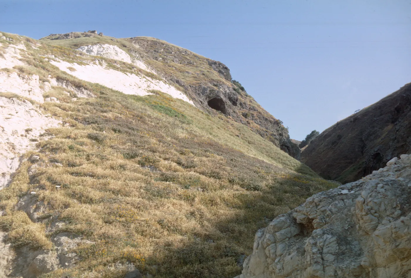 Potato Canyon, Santa Cruz Island