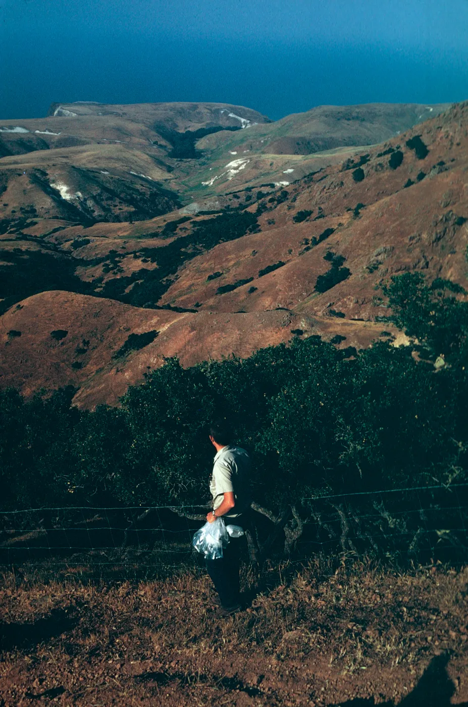 View of Scorpion Ranch