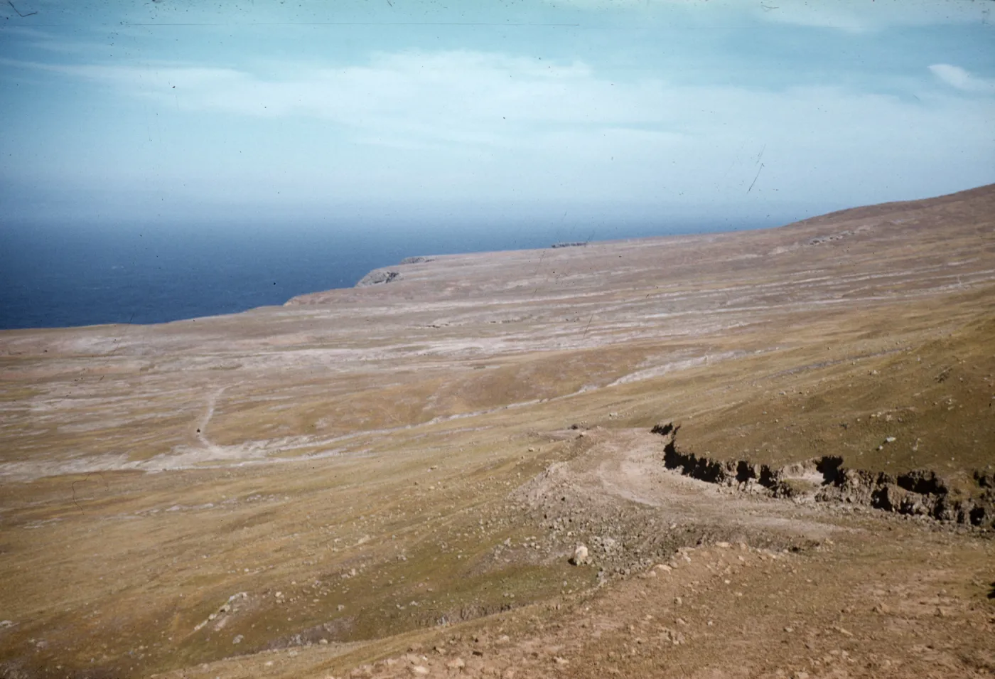 grassy slopes on north side of the central ridge and east of West Point, Santa Cruz Island