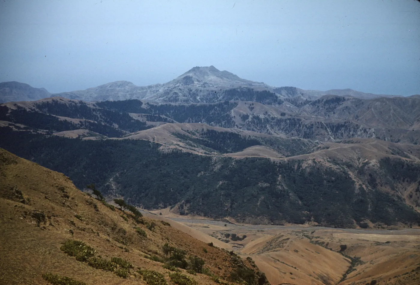 Santa Cruz Island
