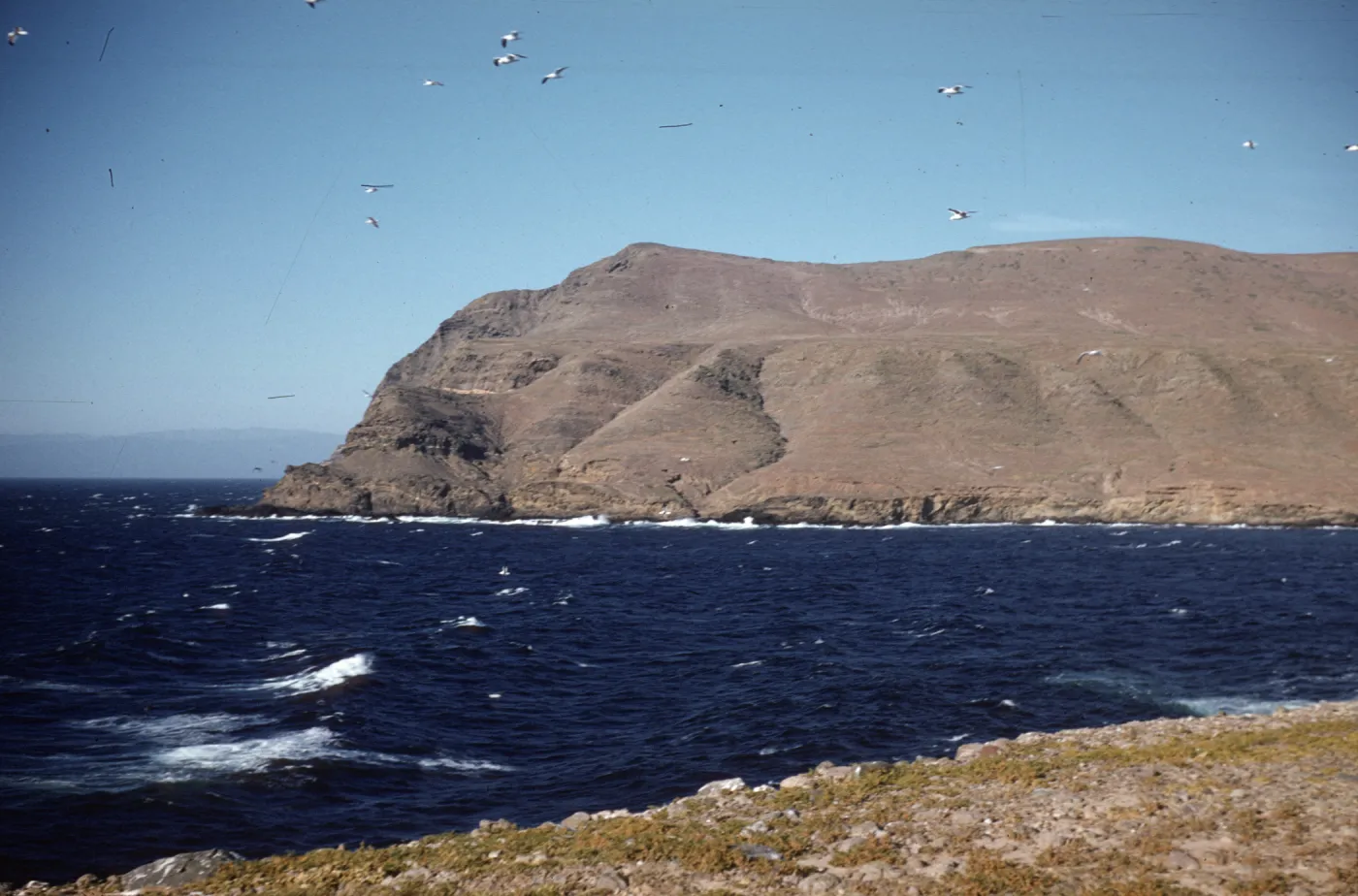 Santa Cruz Island, West Point