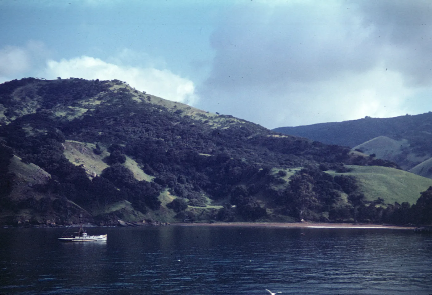boat anchored in Prisoners Cove, Santa Cruz Island, ca. 1939-1940