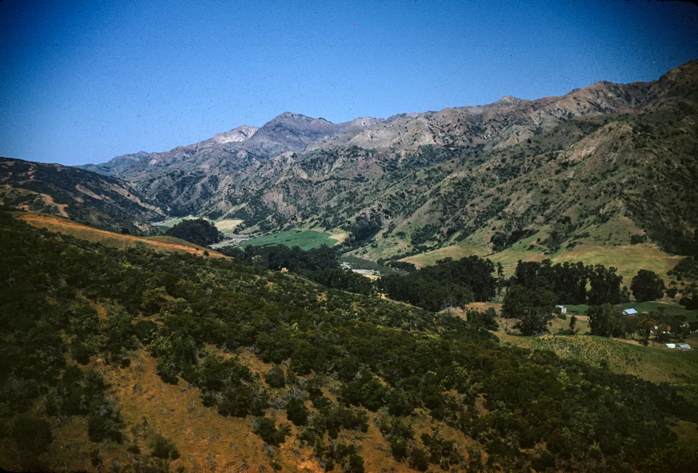 Central Valley, Canyon Medio, Santa Cruz Island