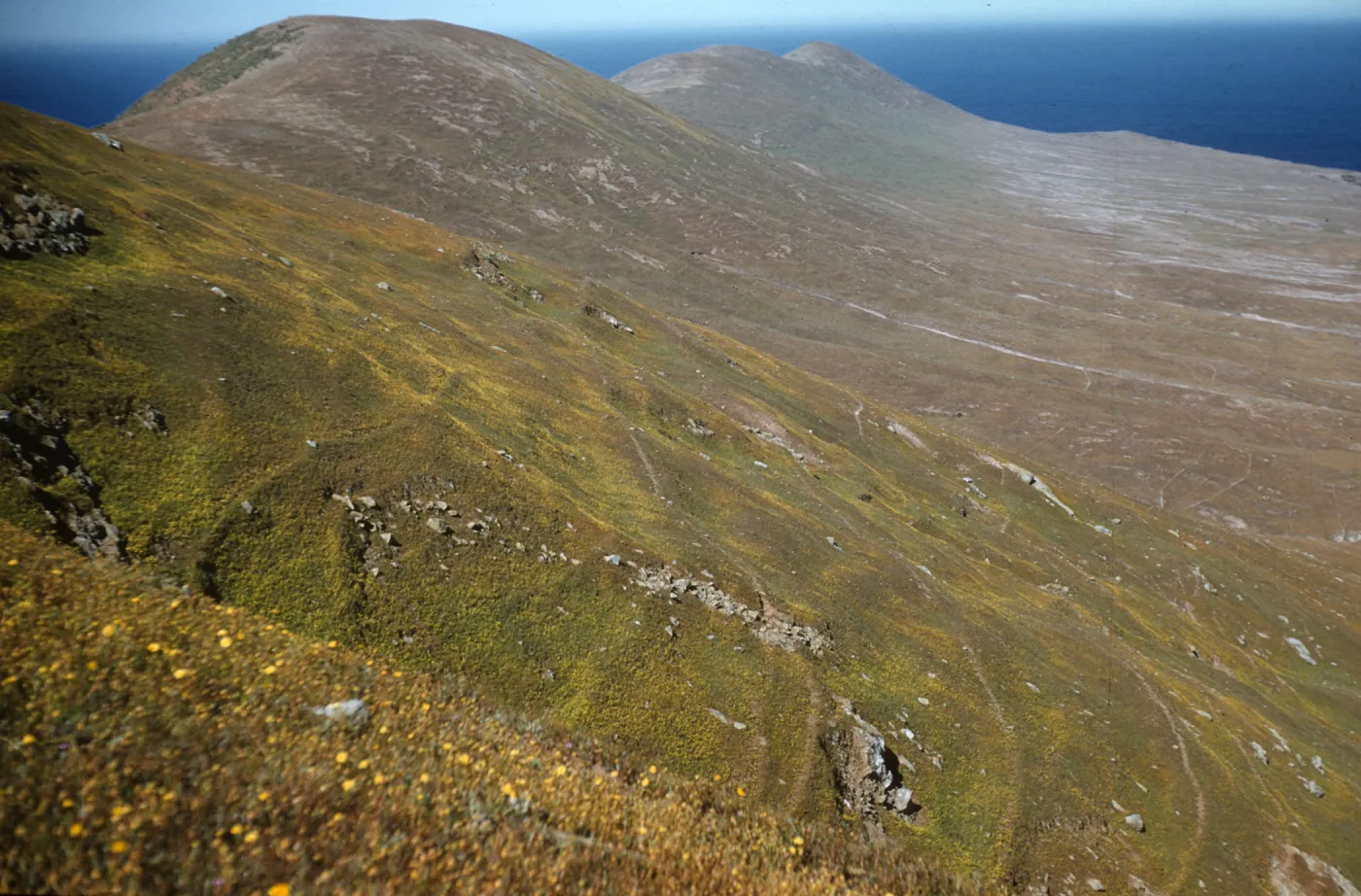 Looking west to West Point, Santa Cruz Island