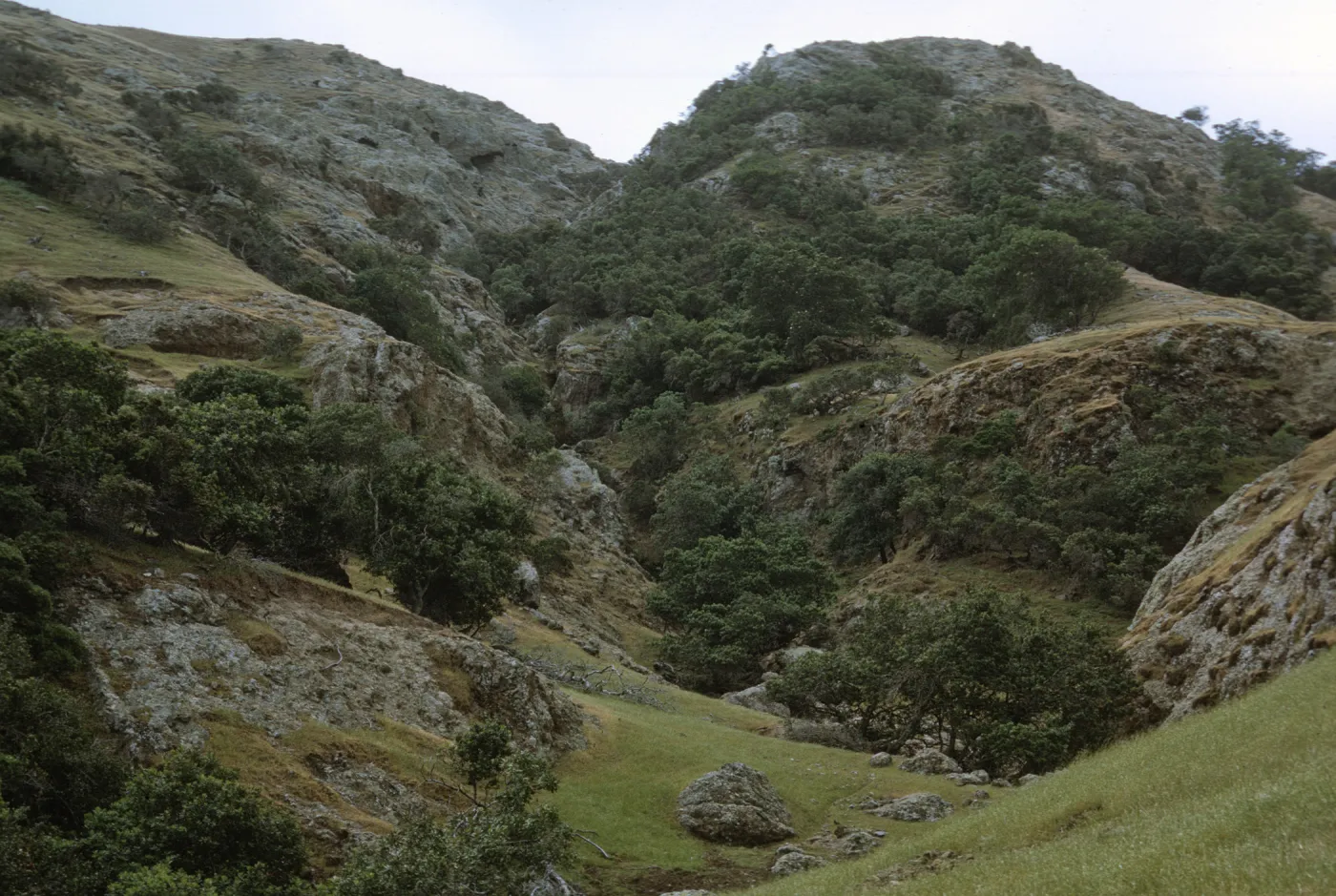 Santa Cruz Island, east end