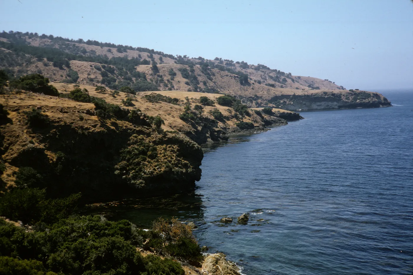 Santa Cruz Island