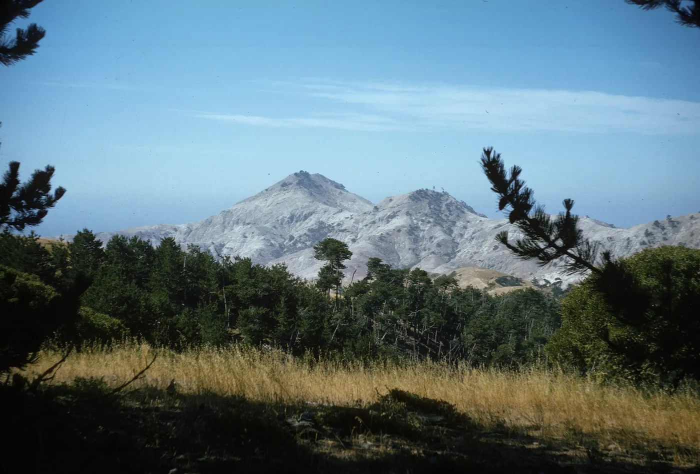 Santa Cruz Island