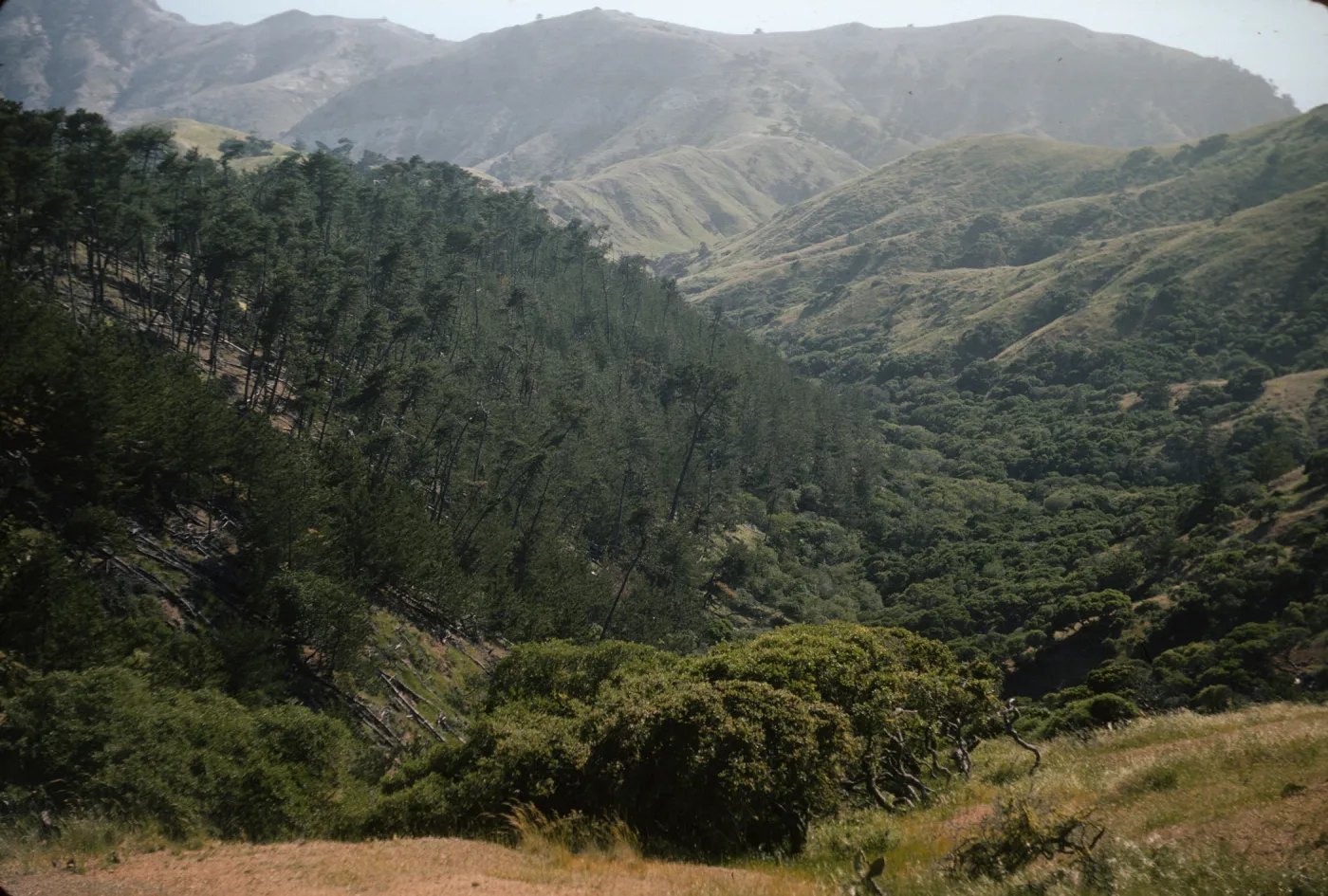 Santa Cruz Island