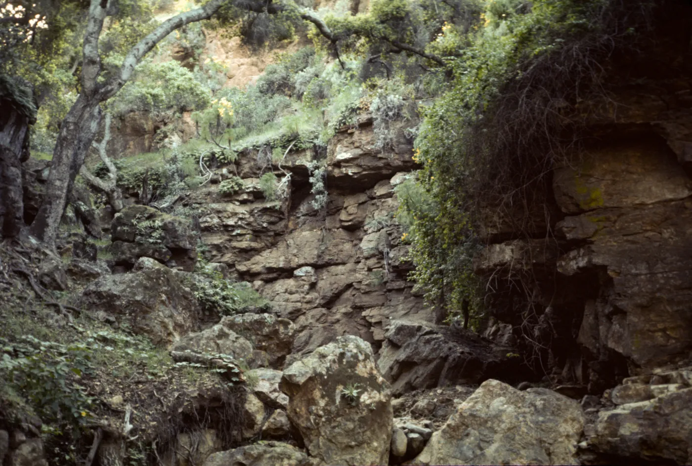 Santa Cruz Island