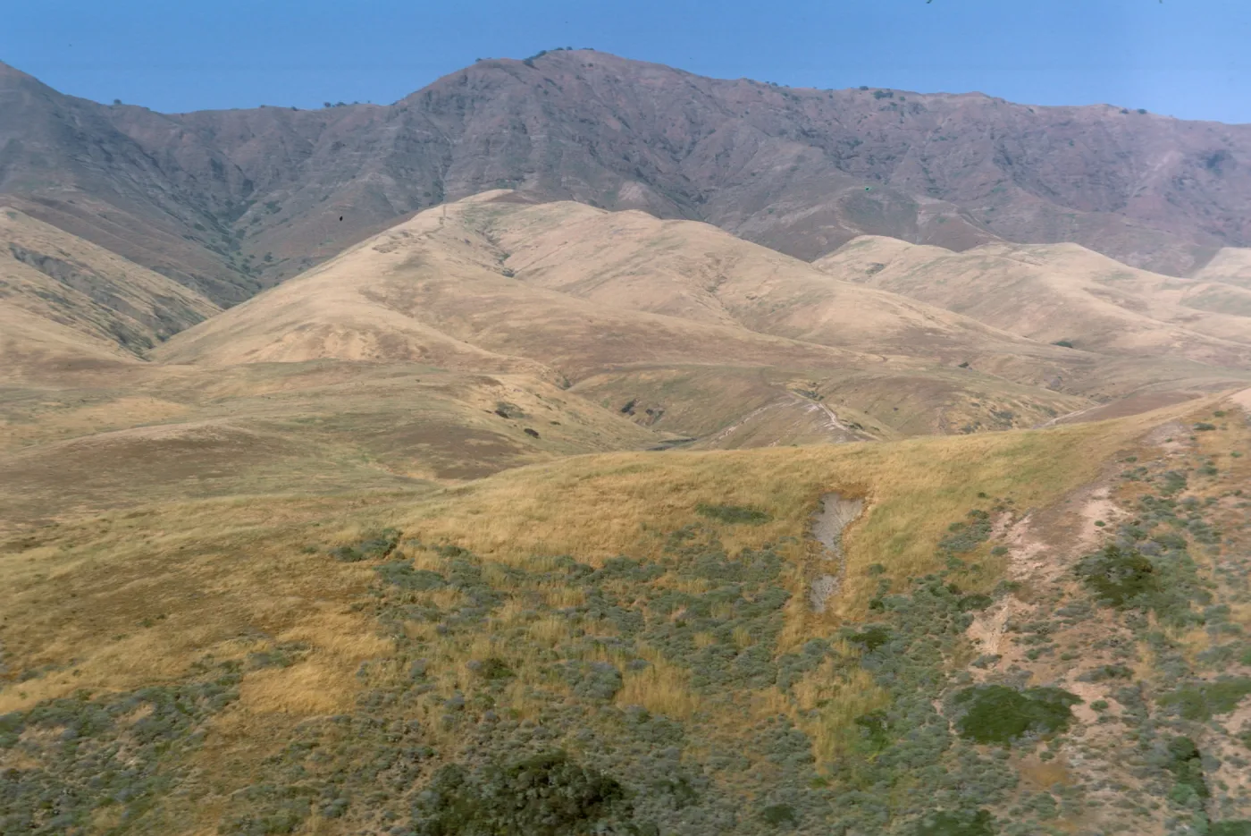 Santa Cruz Island, above Christy Ranch