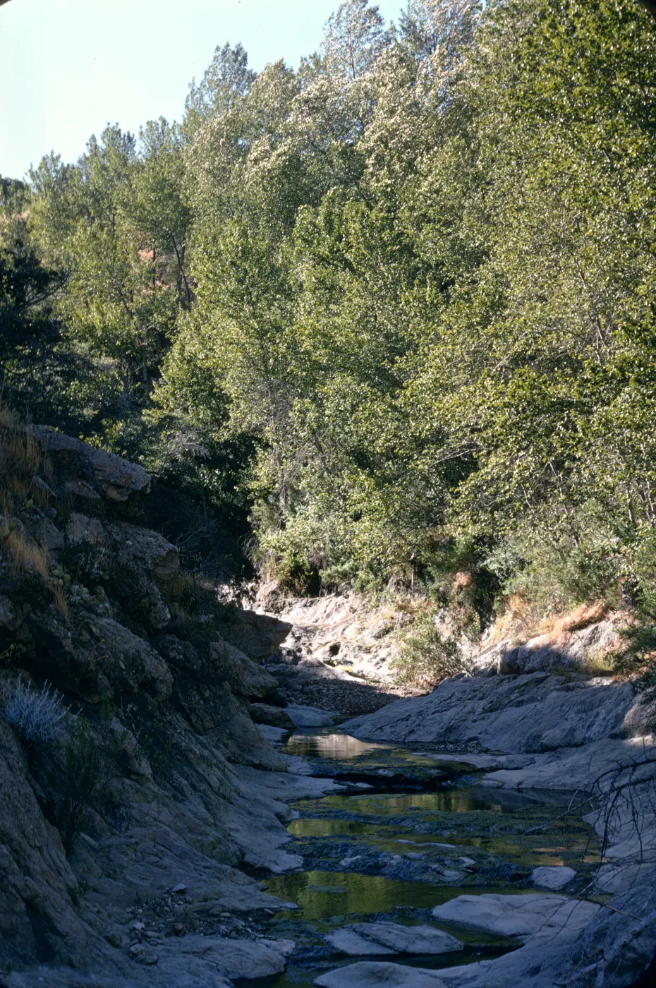 Santa Cruz Island