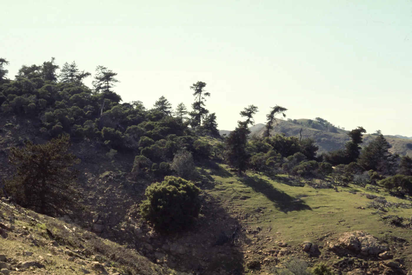 Santa Cruz Island