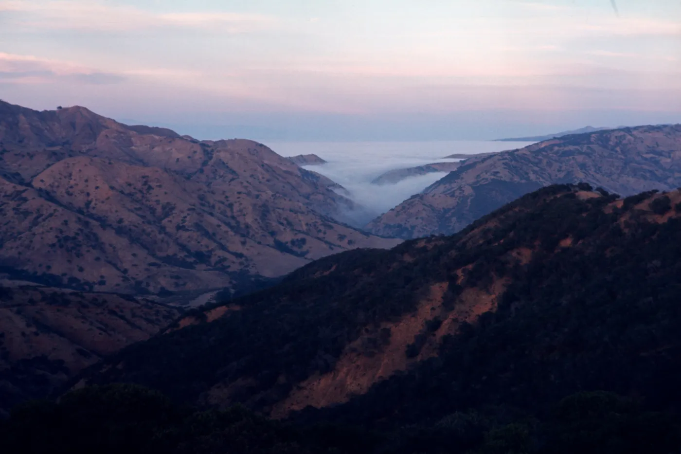 Santa Cruz Island