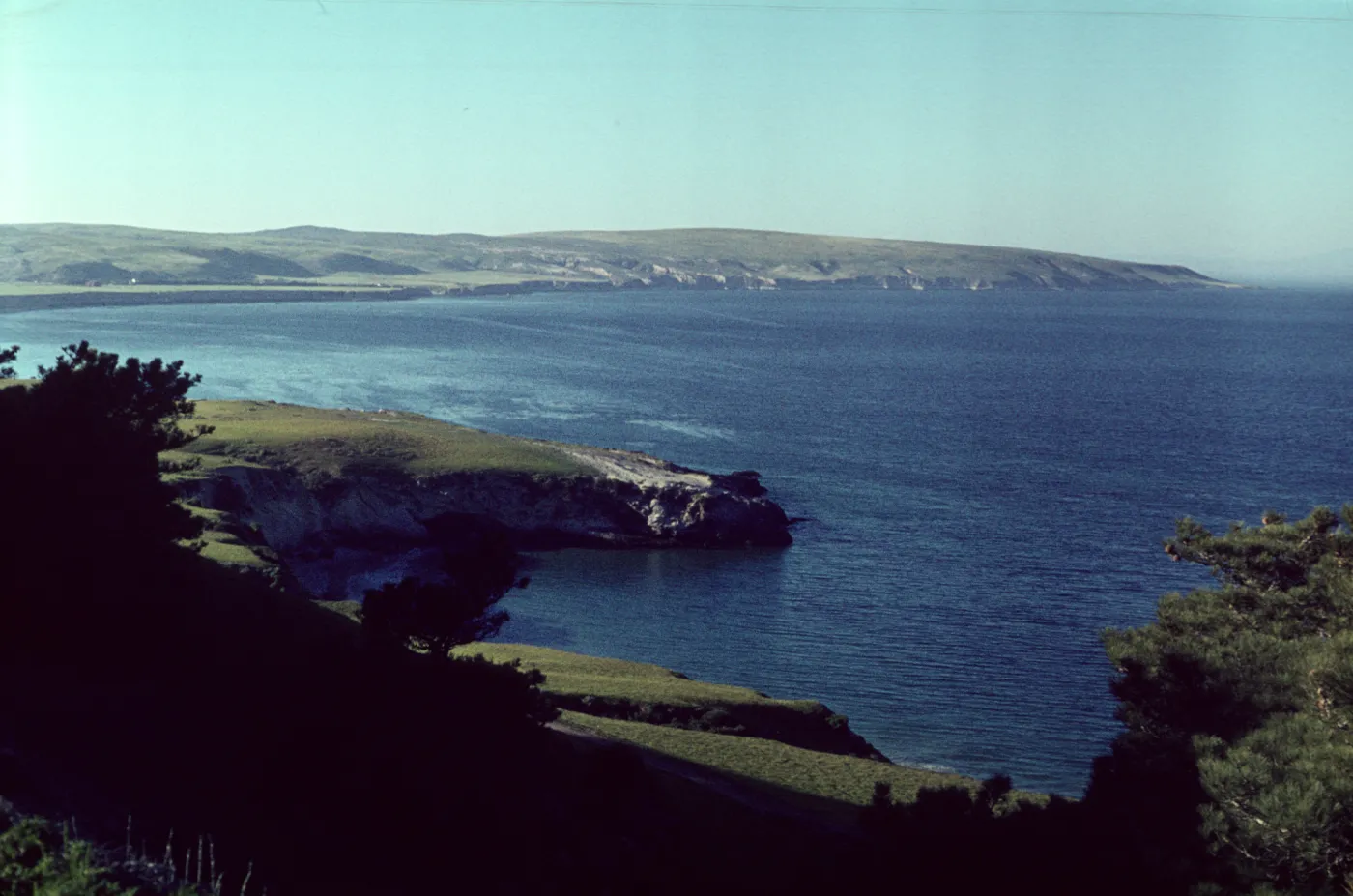 Vail Ranch from Torrey Pine grove, Santa Rosa Island