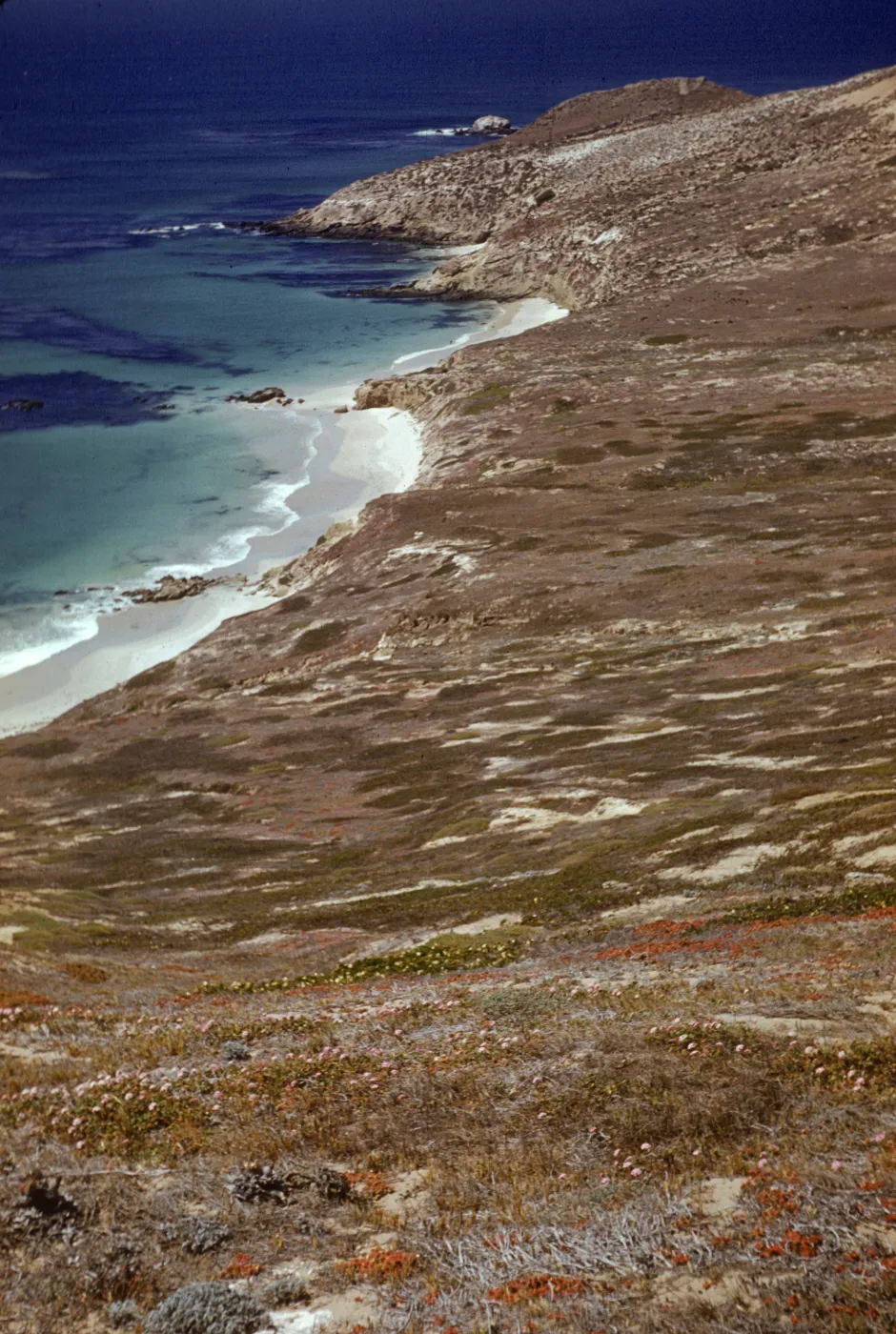 Tyler Bight, looking west, San Miguel Island